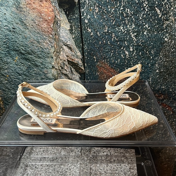 Badgley Mischka Fawn Mesh Pointed Toe Flat with Rhinestone - Picture 10 of 14